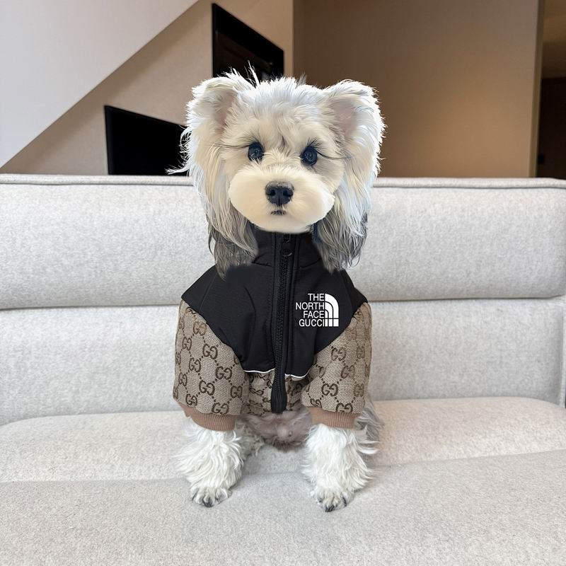 Gucci X TNF S-XXL (1)