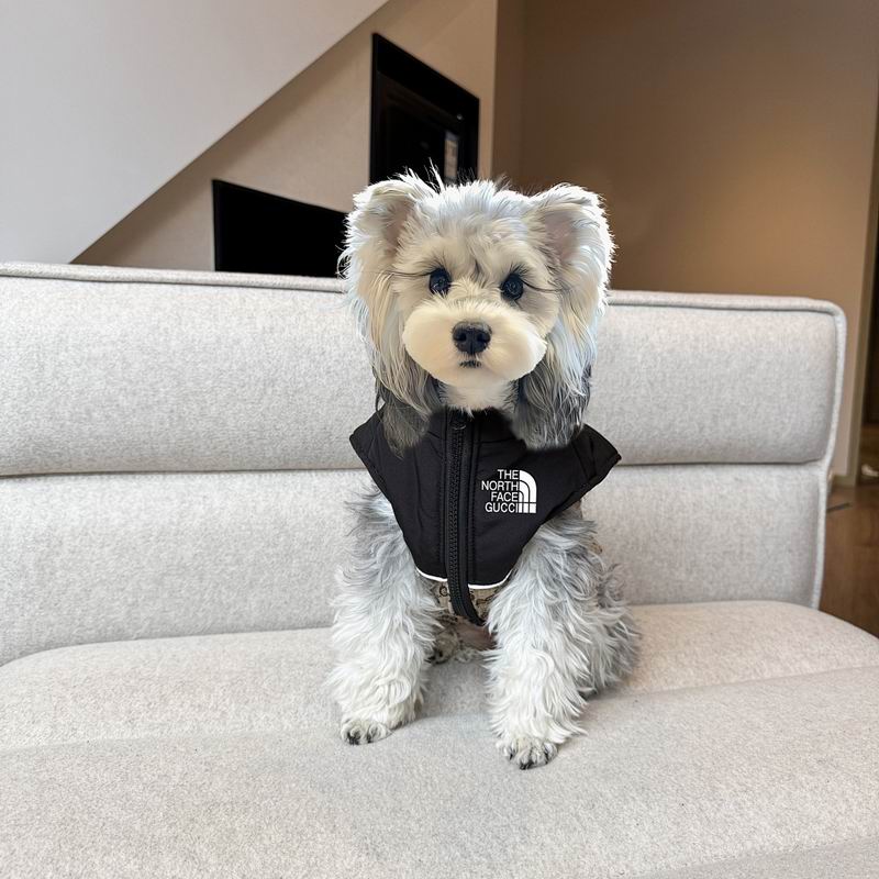 Gucci X TNF S-XXL (6)