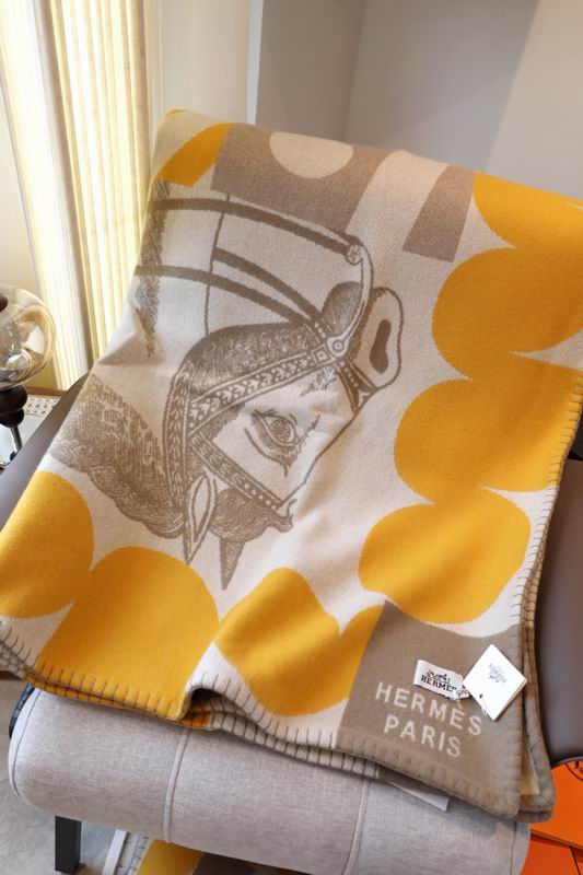 Hermes Scarf 150X200cm E51 (4)