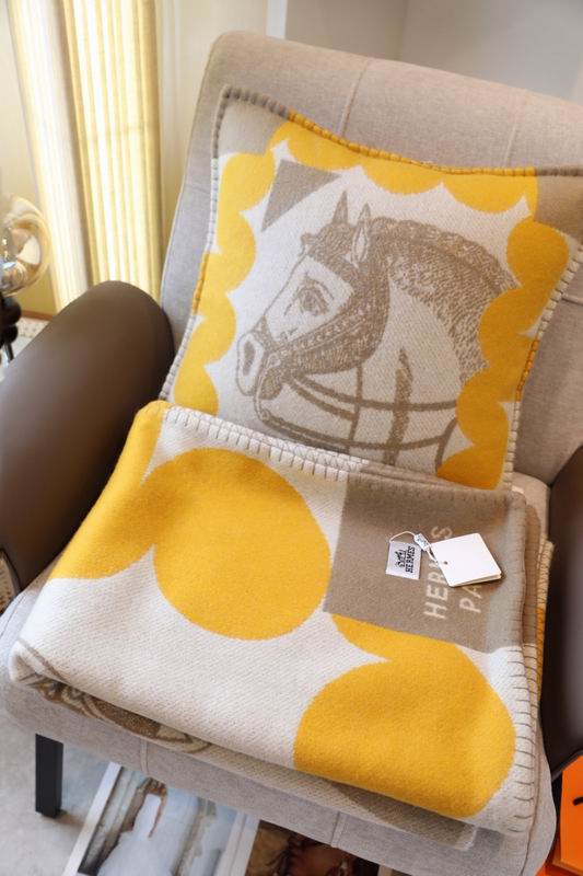 Hermes Scarf 150X200cm E51 (8)