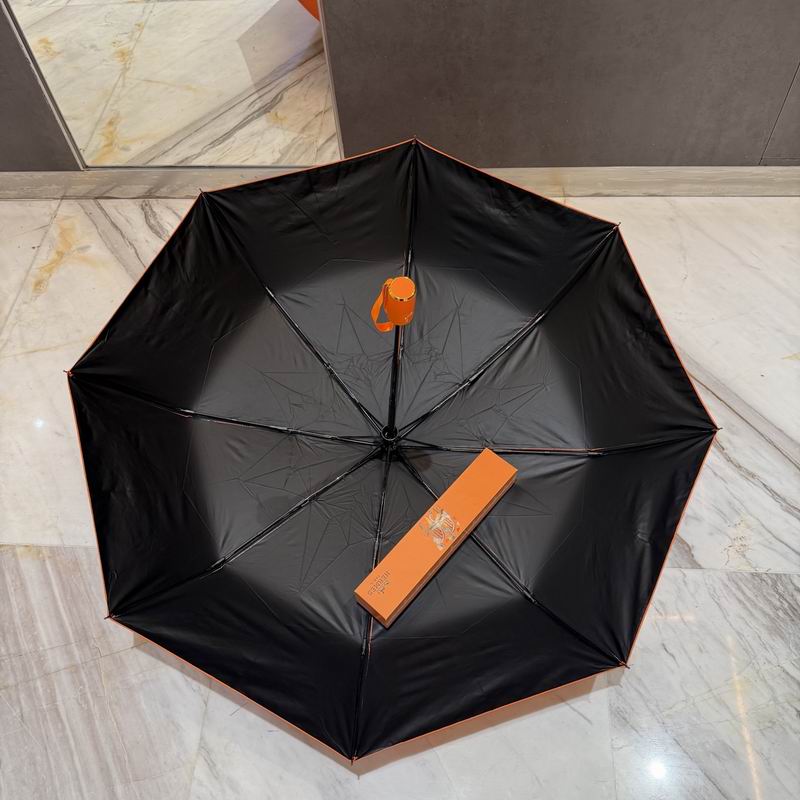 Hermes Umbrella (391)