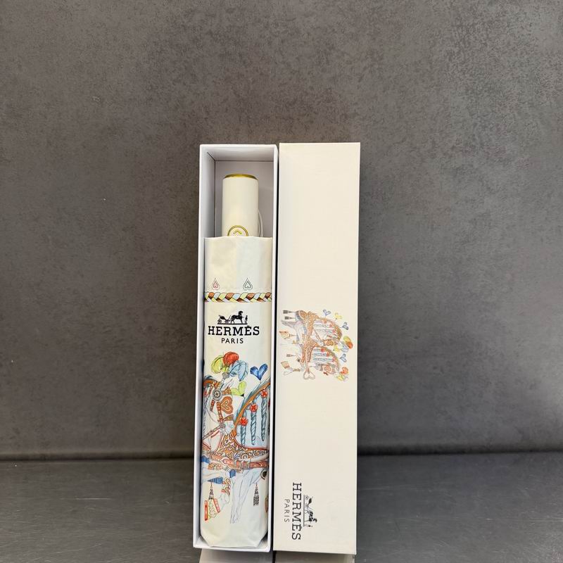Hermes Umbrella (393)