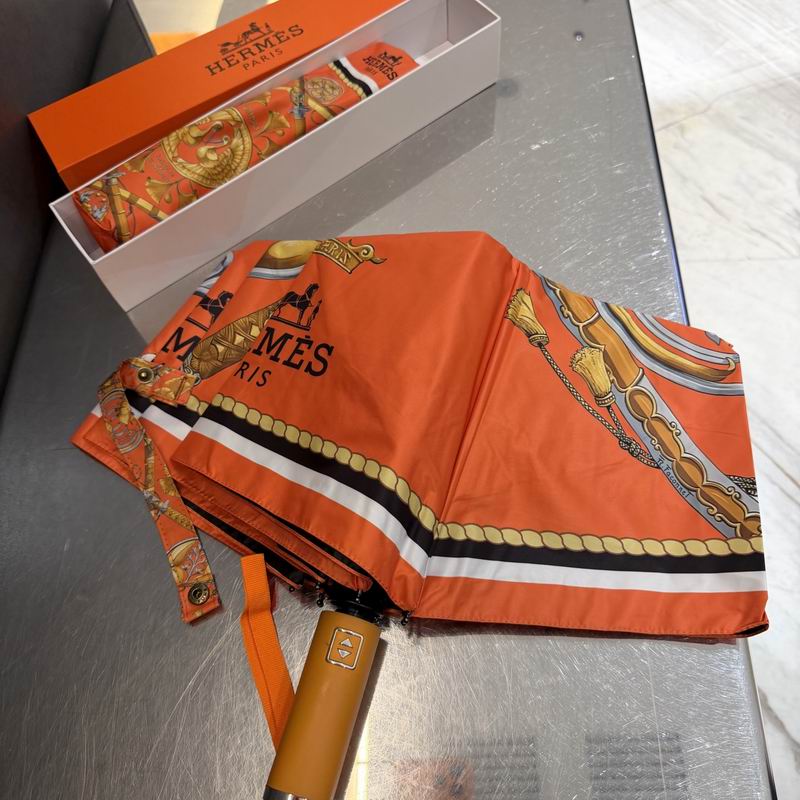 Hermes Umbrella (413)