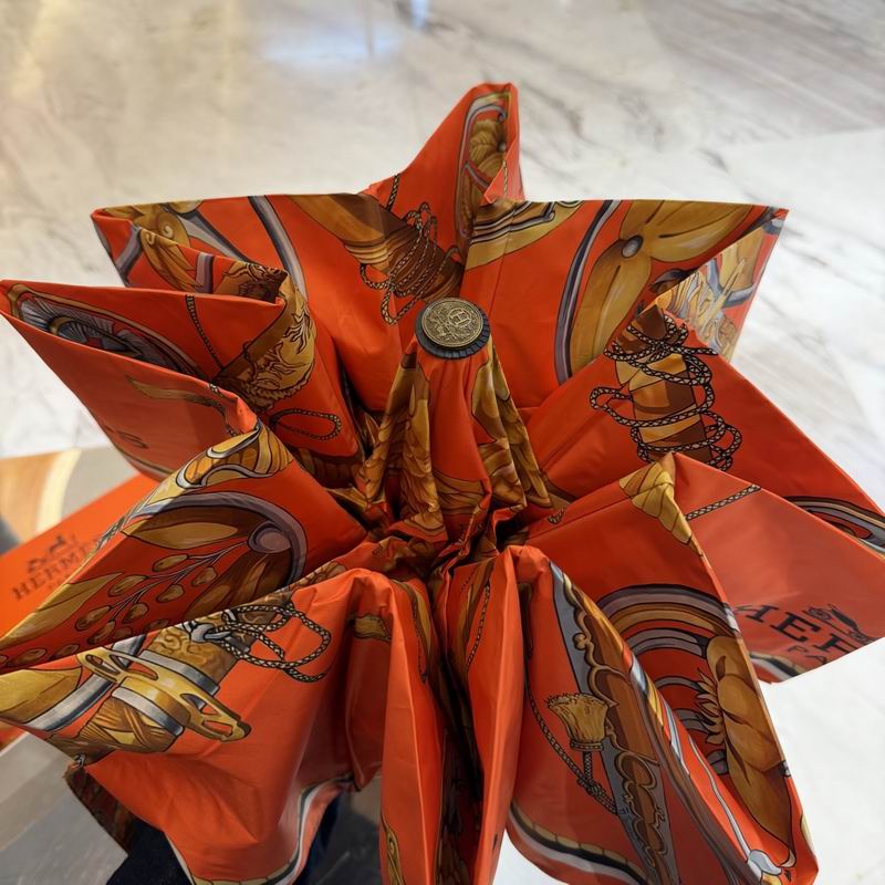 Hermes Umbrella (415)