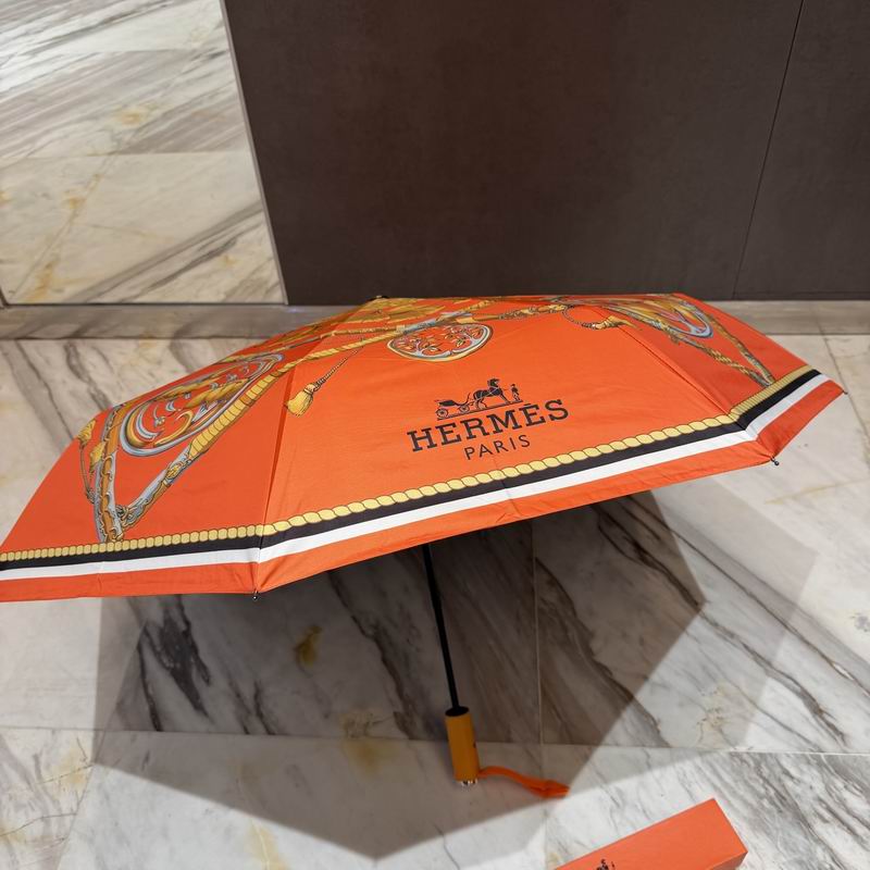 Hermes Umbrella (417)
