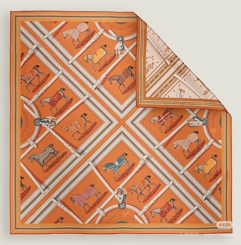 Hermes silk scarf 90X90cm E16 (8)