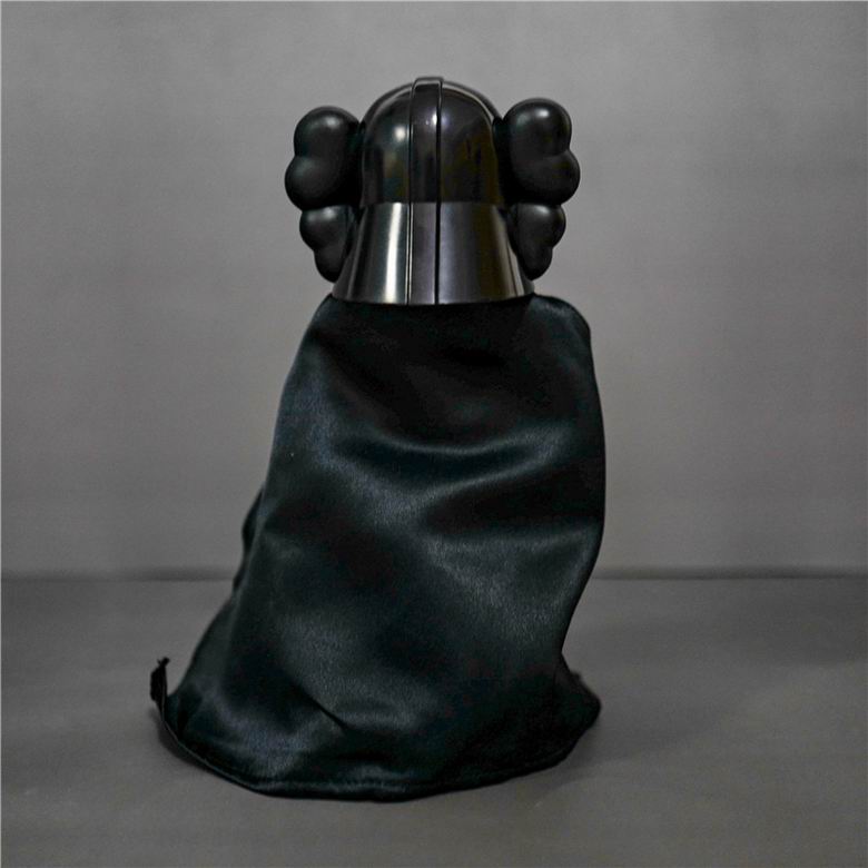 Kaws 25cm   (11)