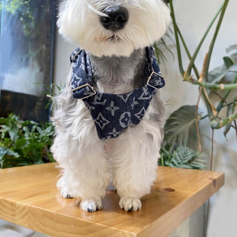 LV Suspender S-XXL   (9)