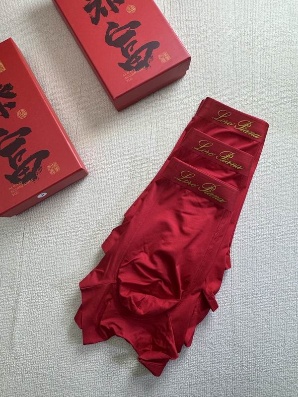 Loro Piana boxer L-4XL 21 (2)