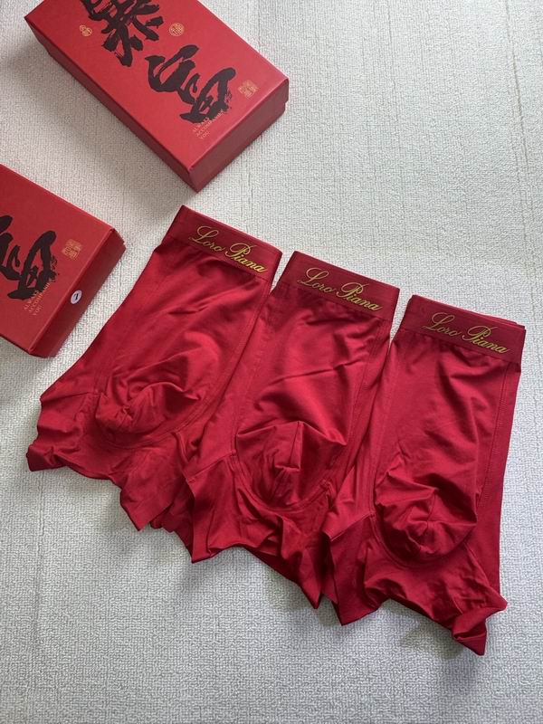 Loro Piana boxer L-4XL 21 (3)