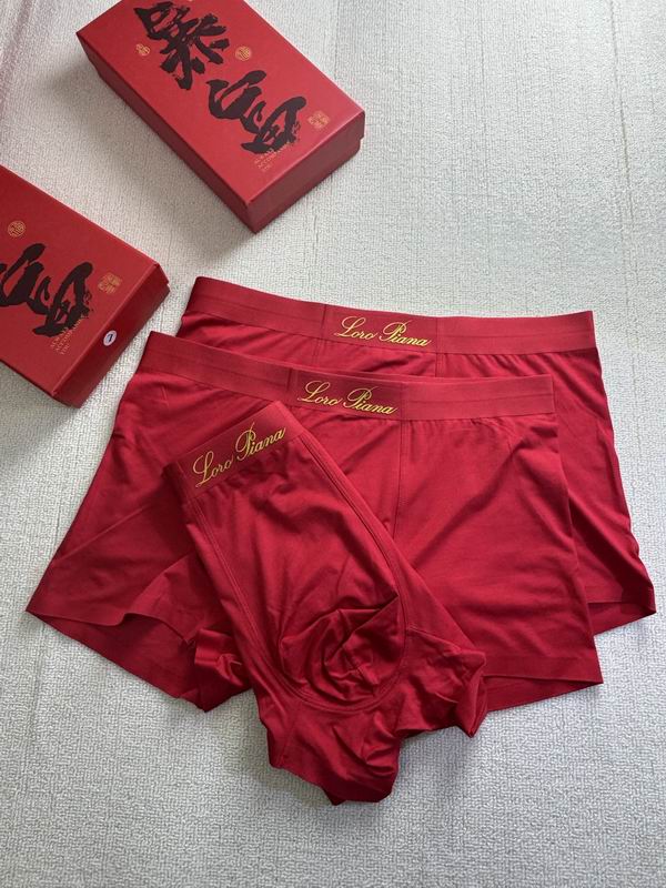 Loro Piana boxer L-4XL 21 (4)