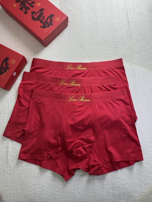Loro Piana boxer L-4XL 21 (5)