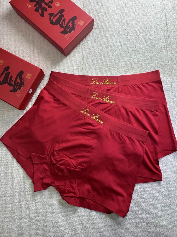 Loro Piana boxer L-4XL 21 (6)
