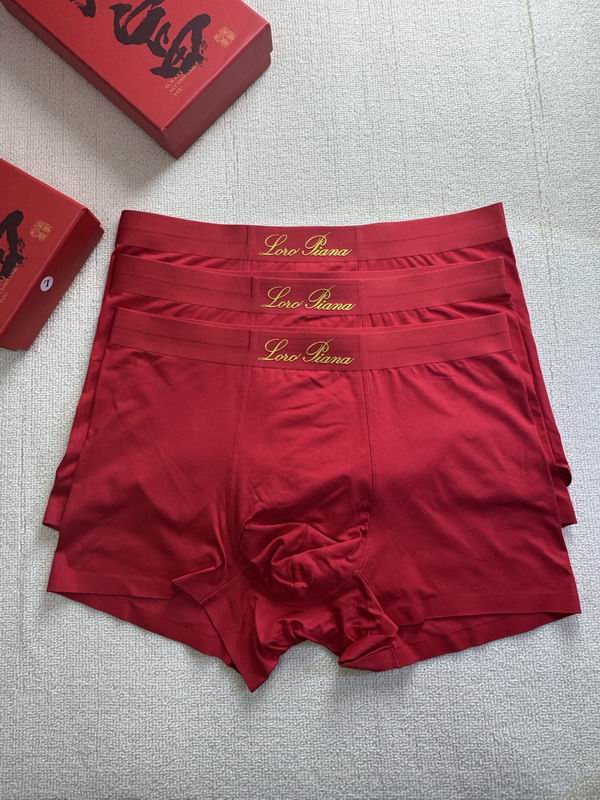 Loro Piana boxer L-4XL 21 (7)