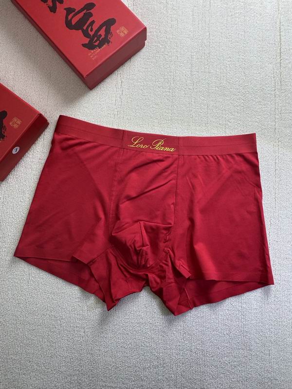 Loro Piana boxer L-4XL 21 (8)