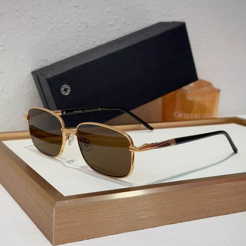 Montblanc Glasses sms (65)