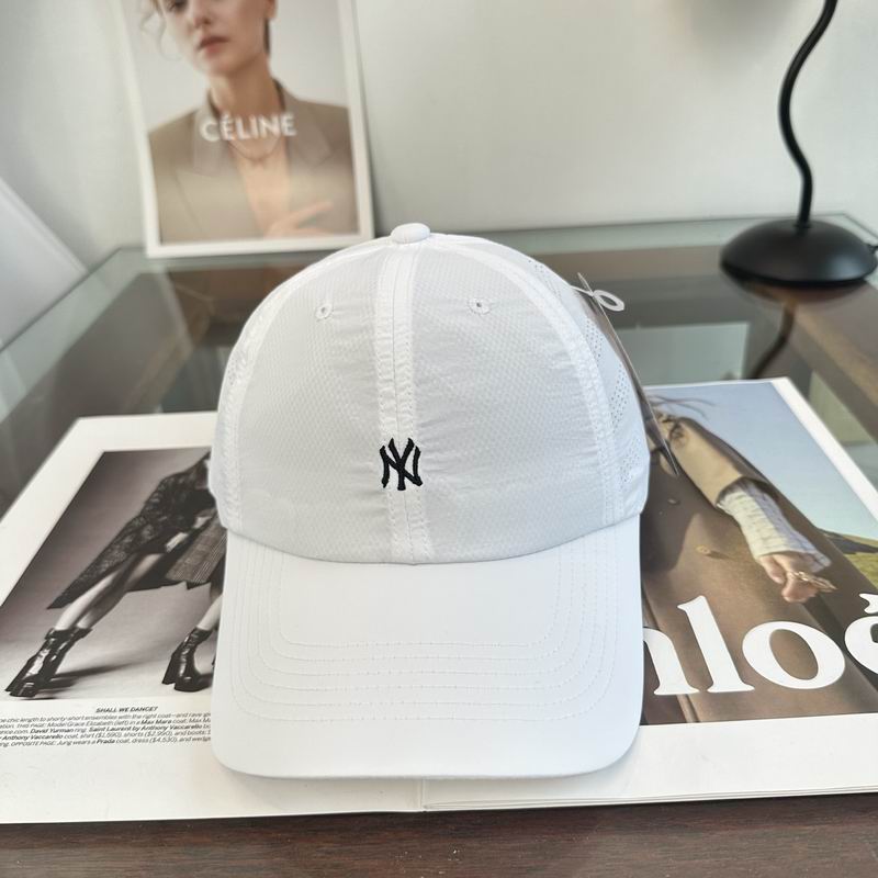 NY cap dx (2030)