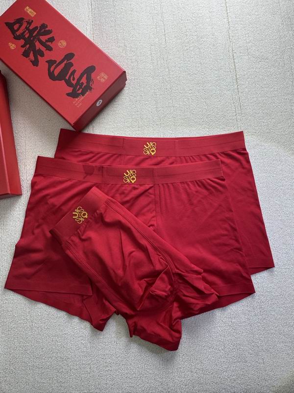 ON X Loewe boxer L-4XL 22 (4)