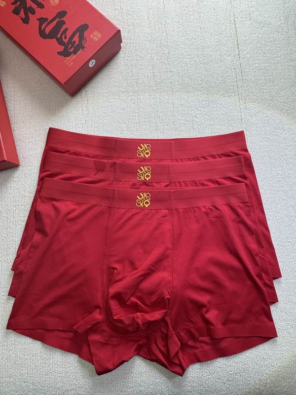 ON X Loewe boxer L-4XL 22 (7)