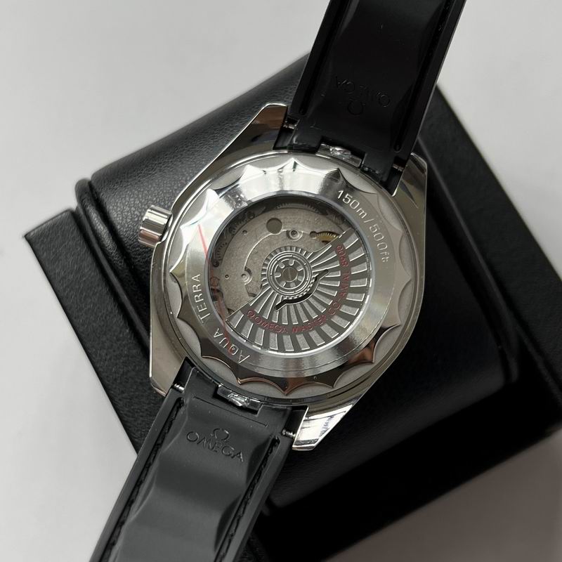 Omega watch 24 (3)