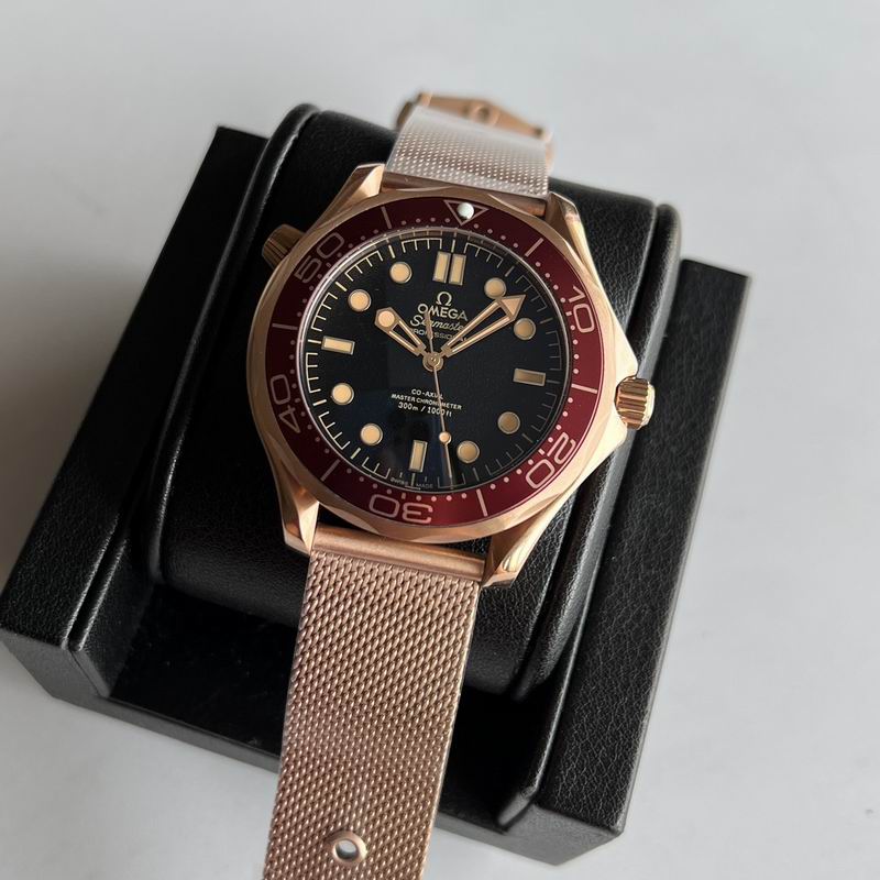 Omega watch 25 (4)