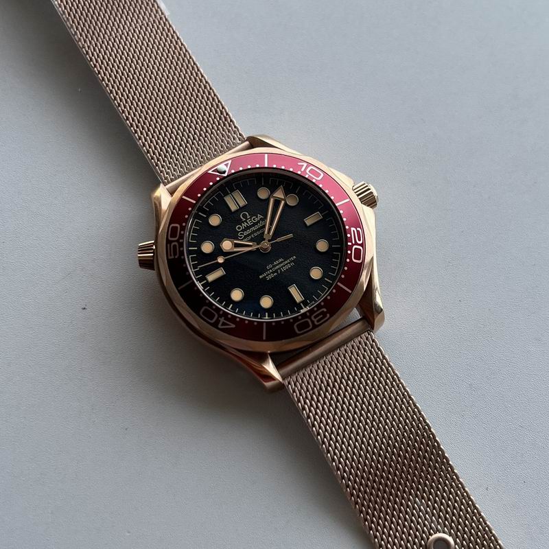 Omega watch 25 (6)