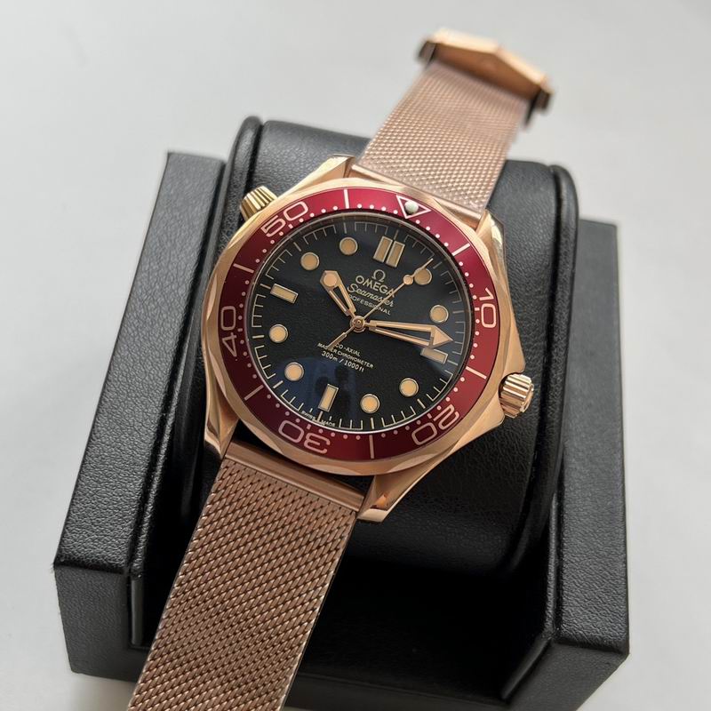 Omega watch 25 (7)