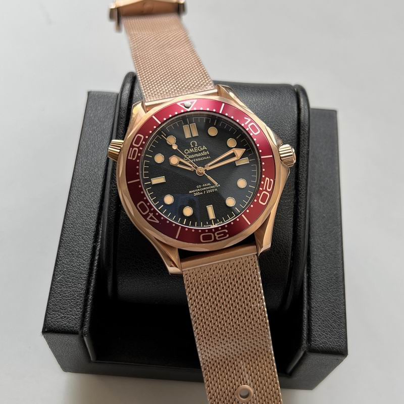 Omega watch 25 (8)