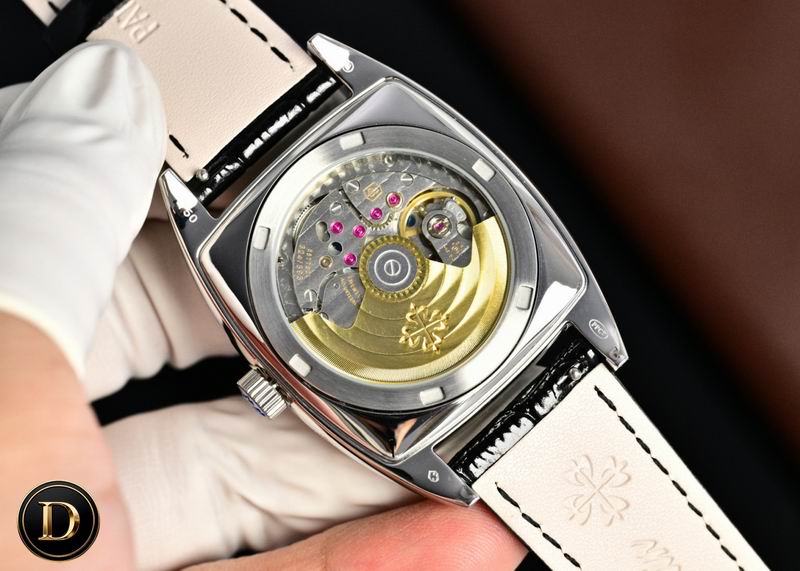 Patek Philippe watch 32 (2)