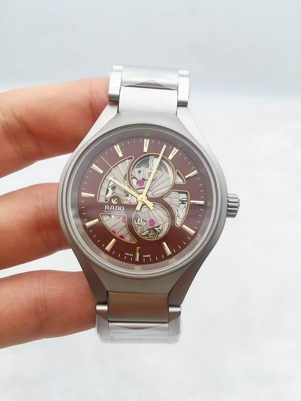Rado watch 53 (25)