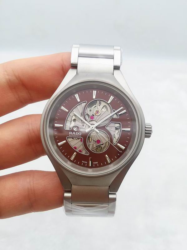 Rado watch 53 (31)