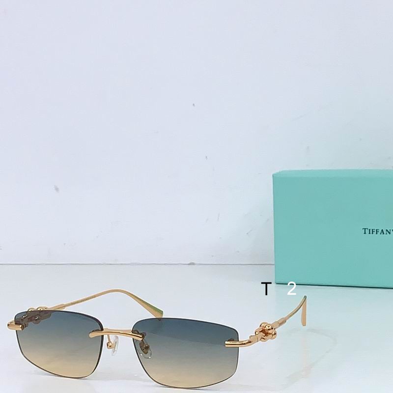 TIFFANY Co TF2042L 58 18-145 b04