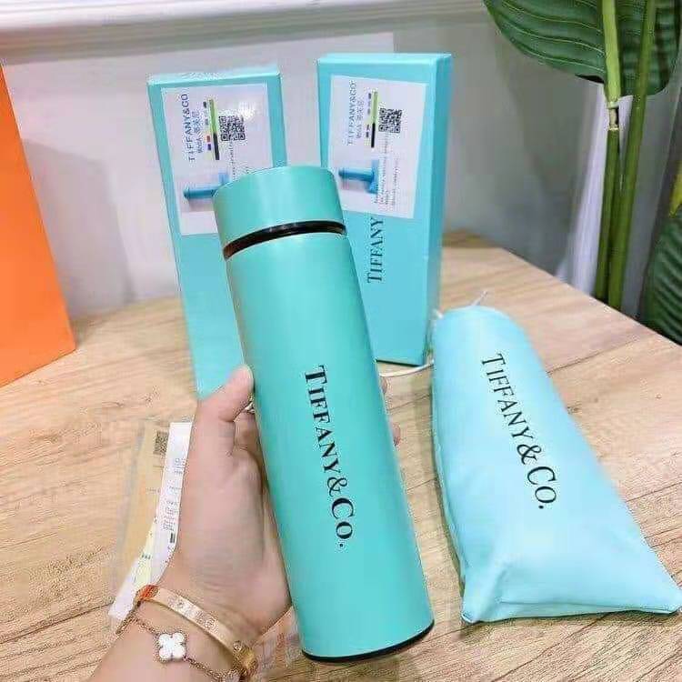 Thermos Cup 500ml   (41)