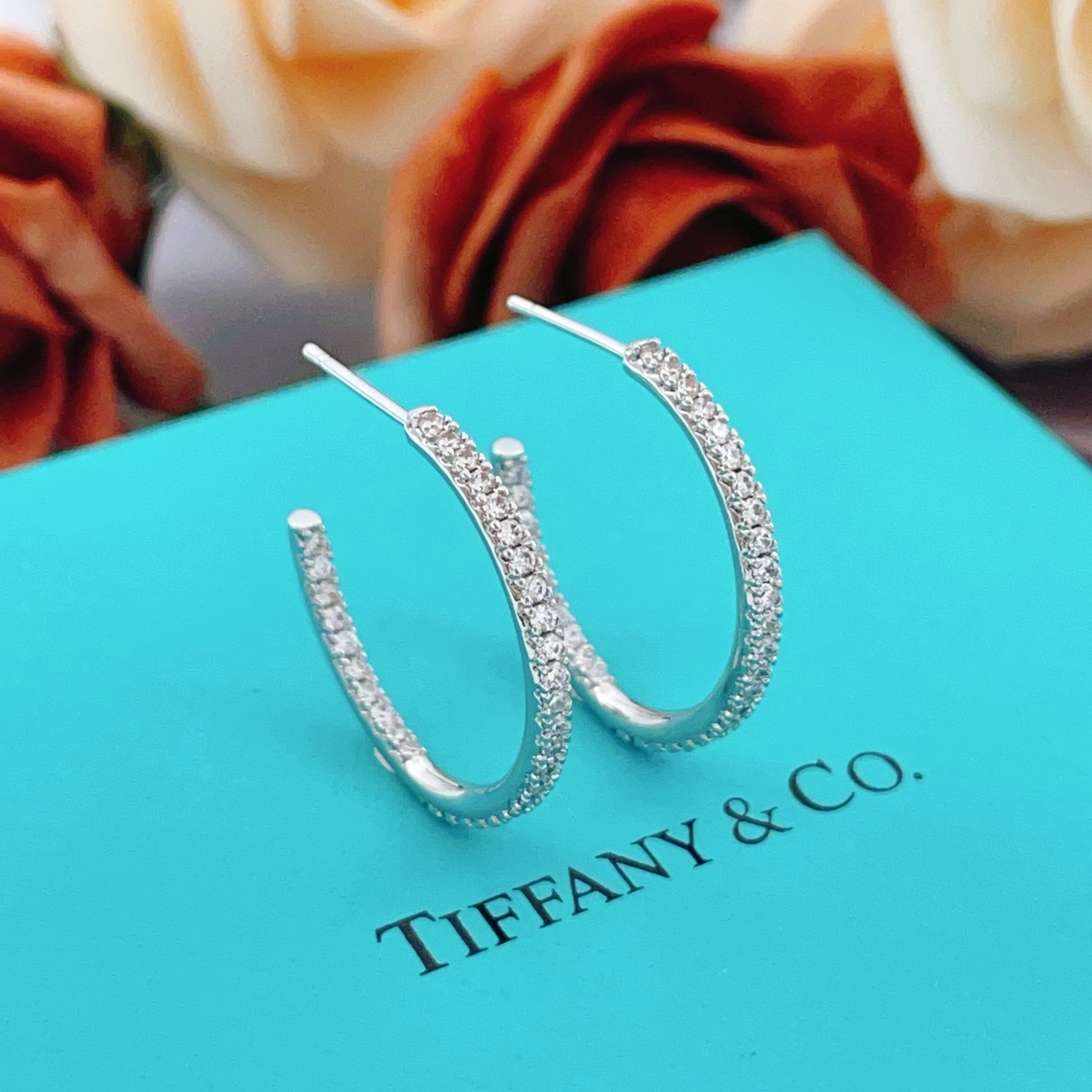 Tiffany Earring 02yxs08 (2)