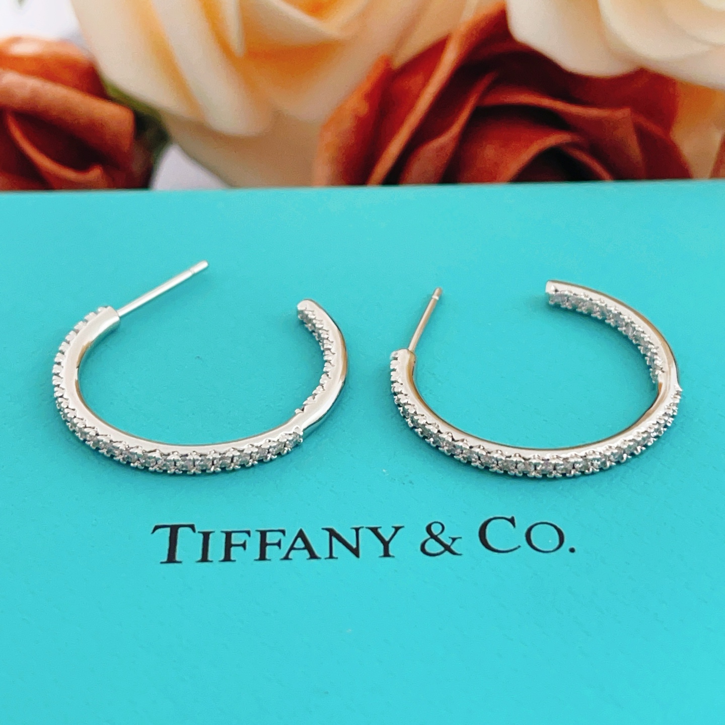 Tiffany Earring 02yxs08 (3)