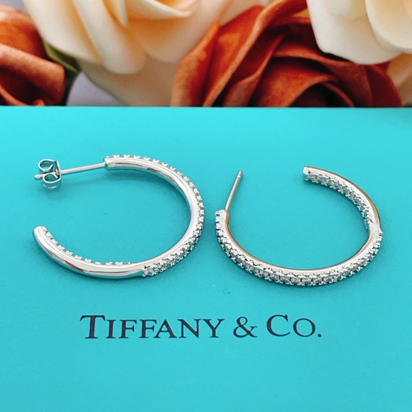 Tiffany Earring 02yxs08 (4)