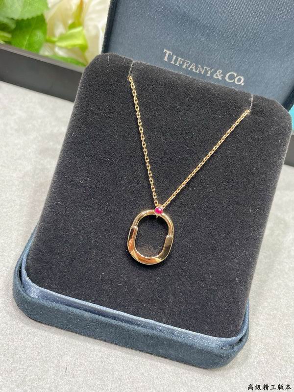 Tiffany Necklace 02yxs06 (1)