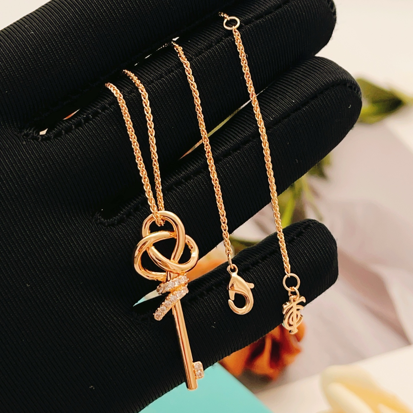 Tiffany Necklace 02yxs09 (10)