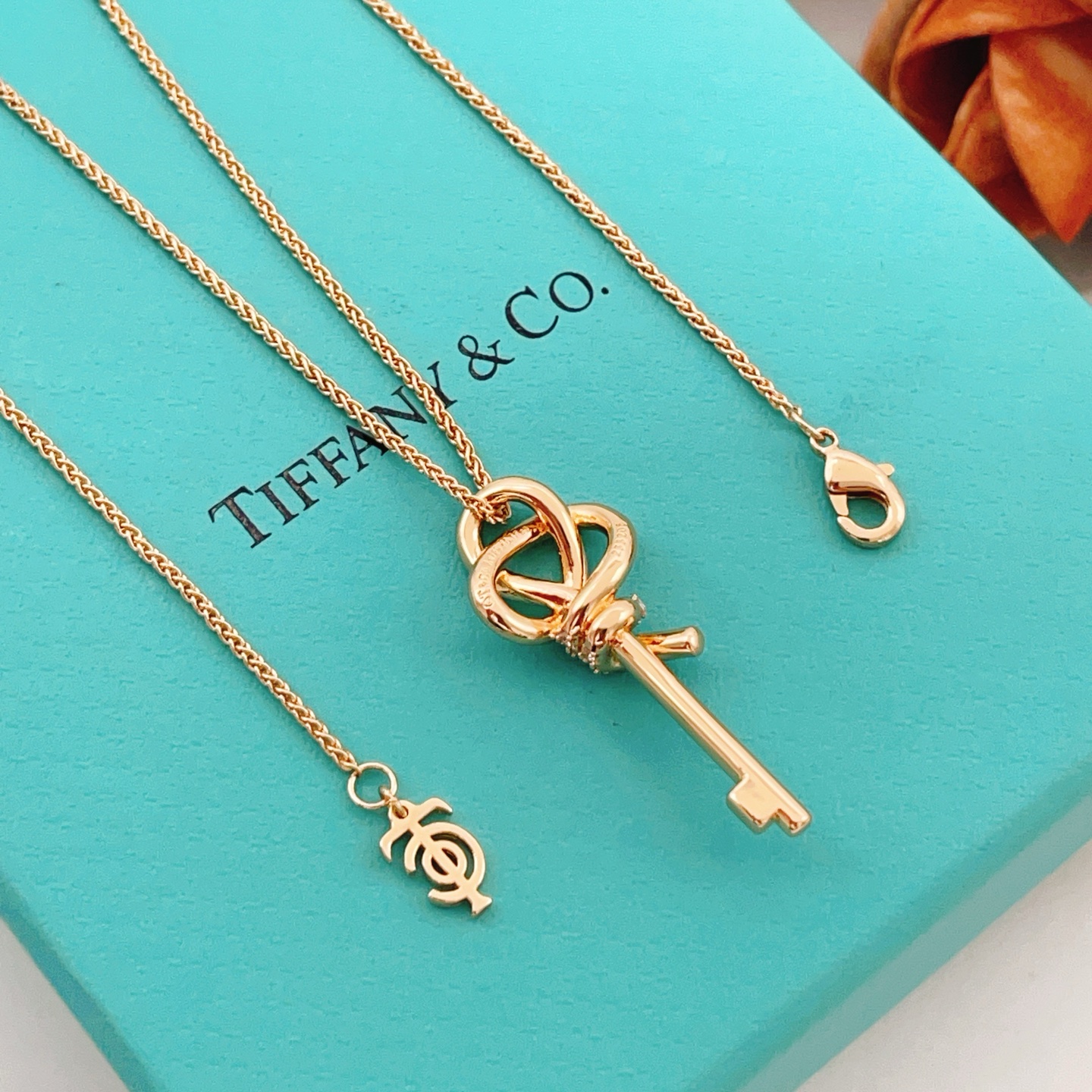 Tiffany Necklace 02yxs09 (9)