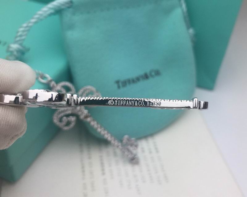 Tiffany Necklace 03yxs22 (4)