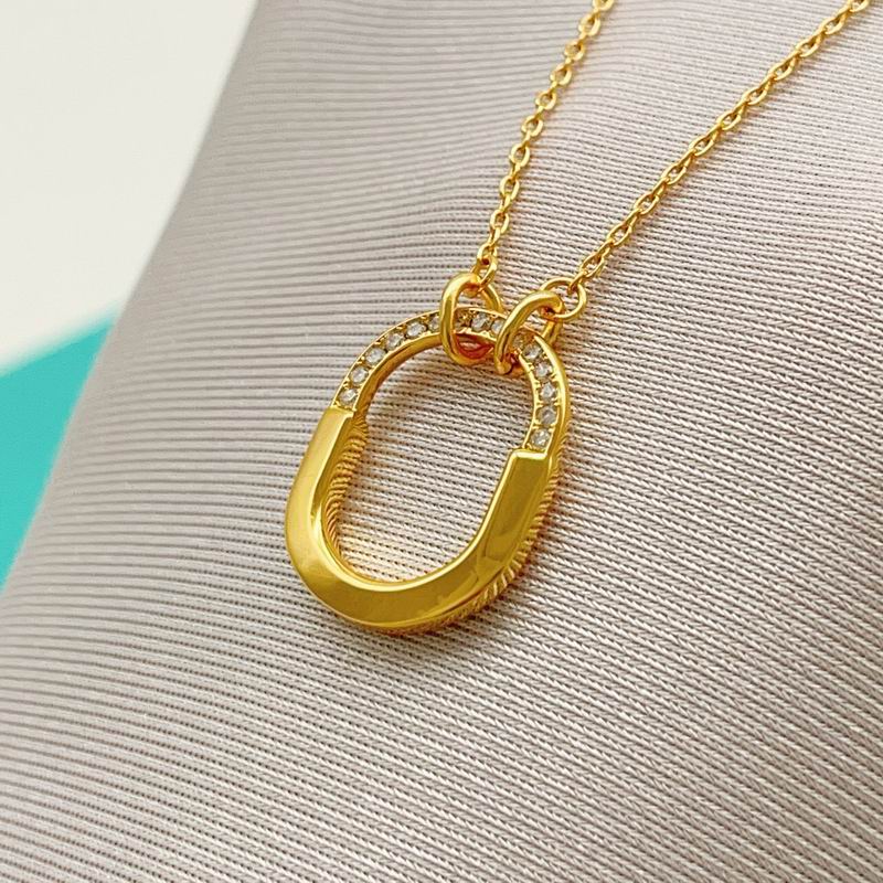 Tiffany Necklace 03yxs51 (22)