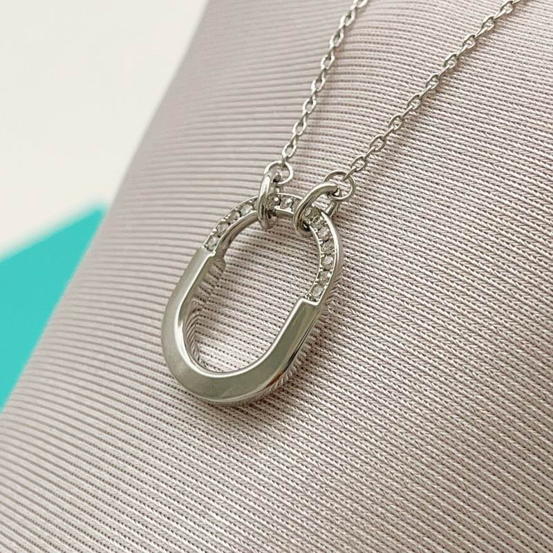 Tiffany Necklace 03yxs51 (8)