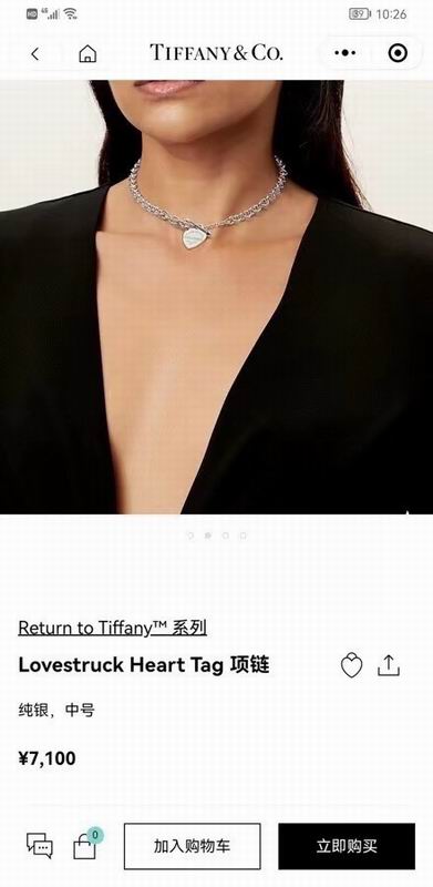 Tiffany Necklace 04yxs61 (7)