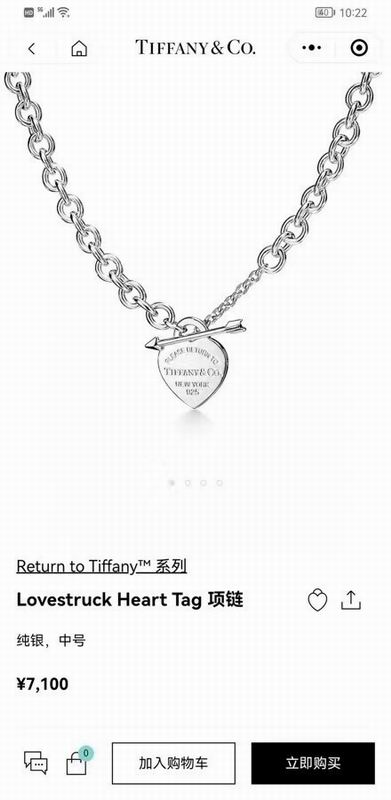 Tiffany Necklace 04yxs61 (8)