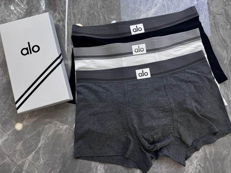 Alo boxer 06 (4)