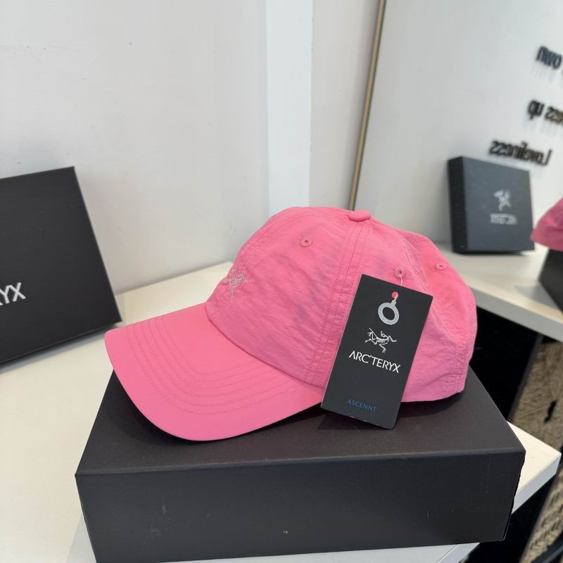 Arcteryx Cap dx (851)