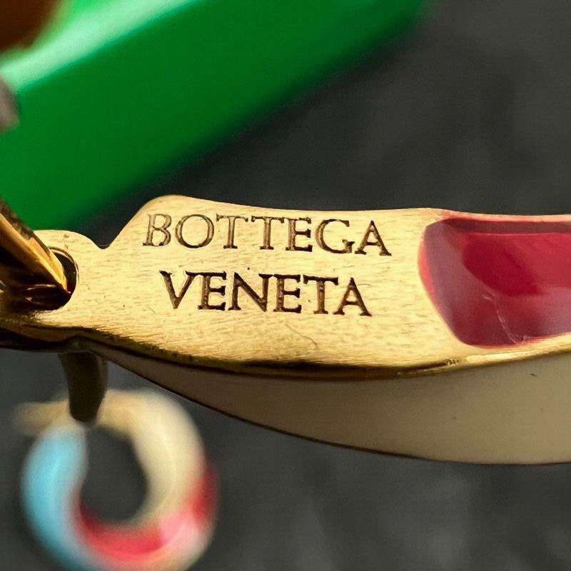 Bottega Veneta  Earring  03yxs01 (6)