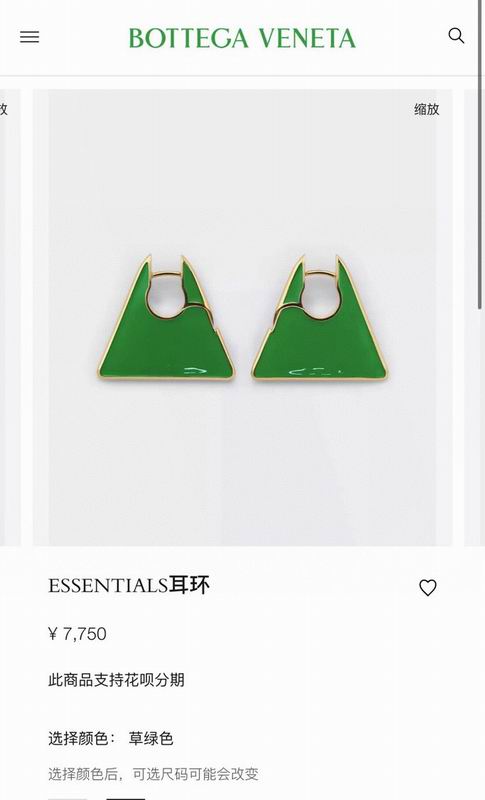 Bottega Veneta  Earring  03yxs02 (6)