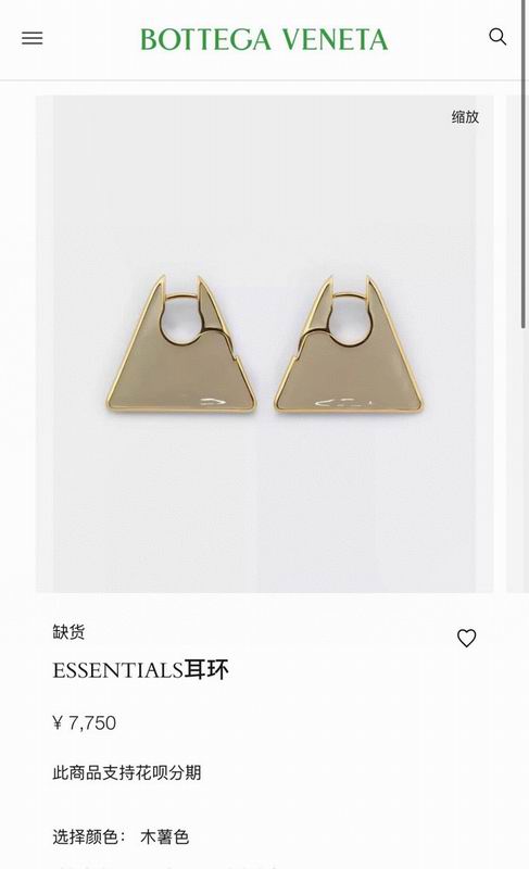 Bottega Veneta  Earring  03yxs02 (8)