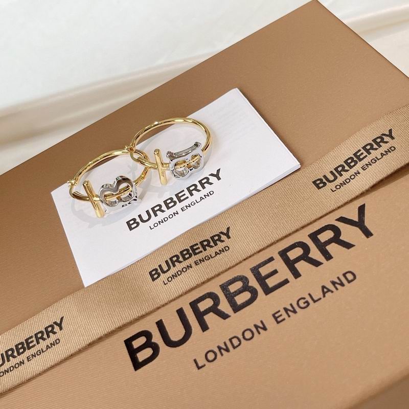 Burberry Earring 04yxs01 (2)